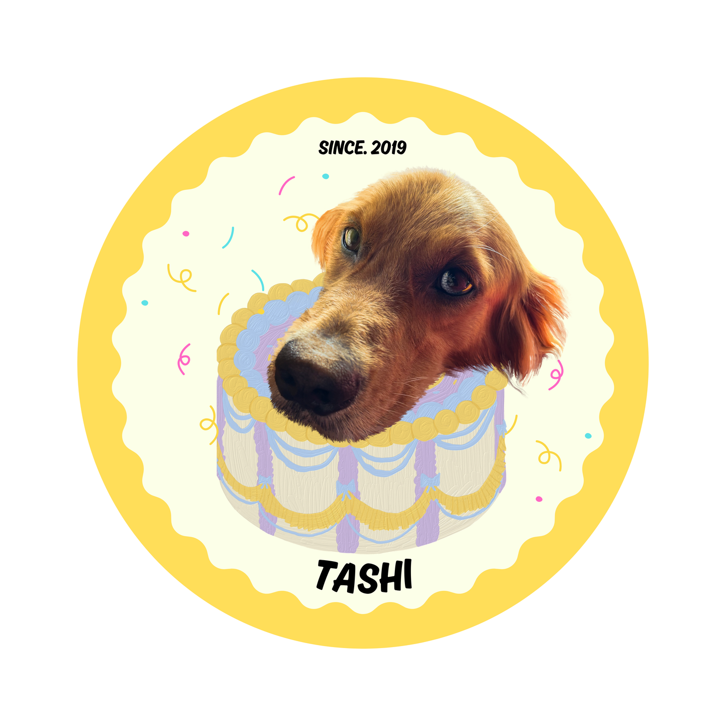 custom pet rug birthday theme