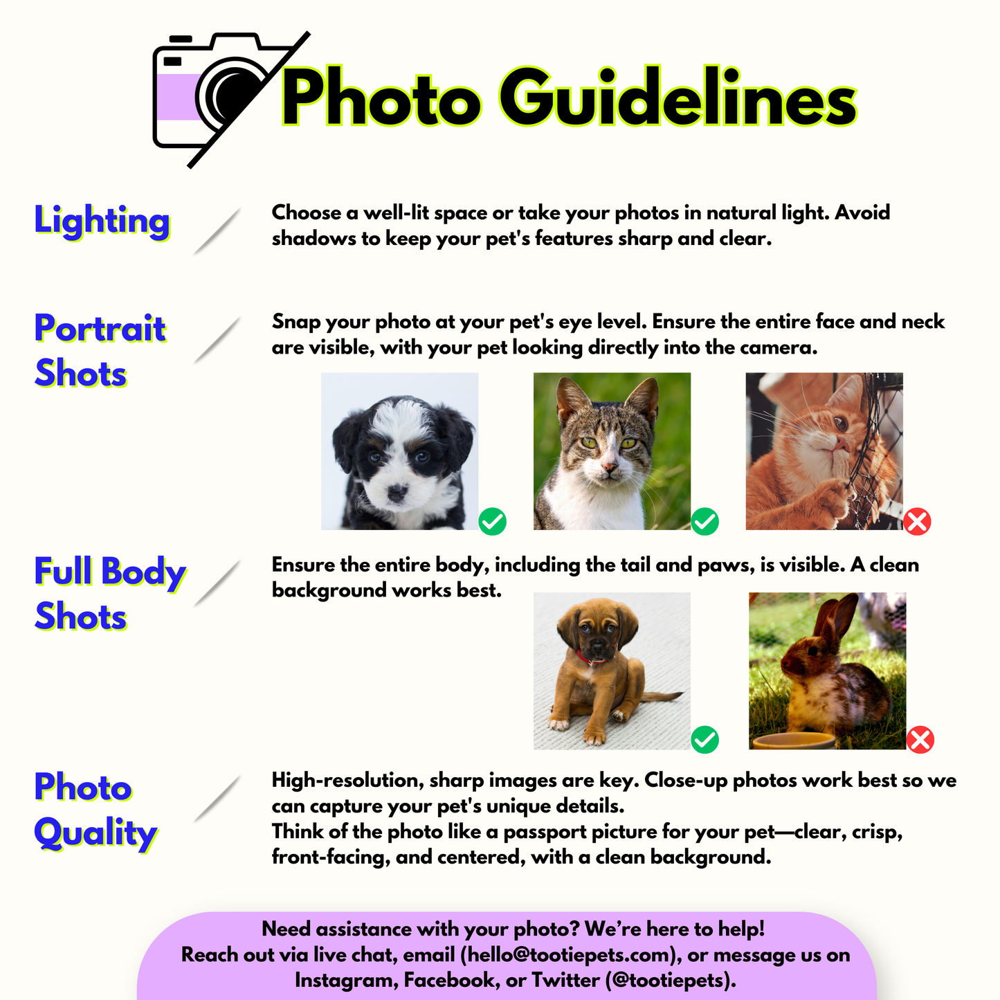 tootie pets custom pet photo submission guidelines