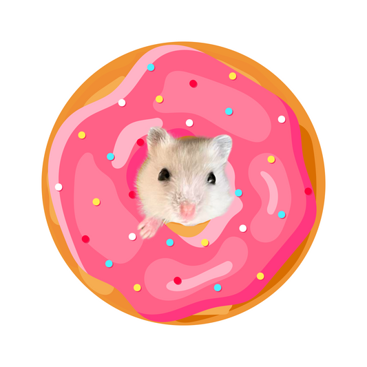 custom pet rug pink donut