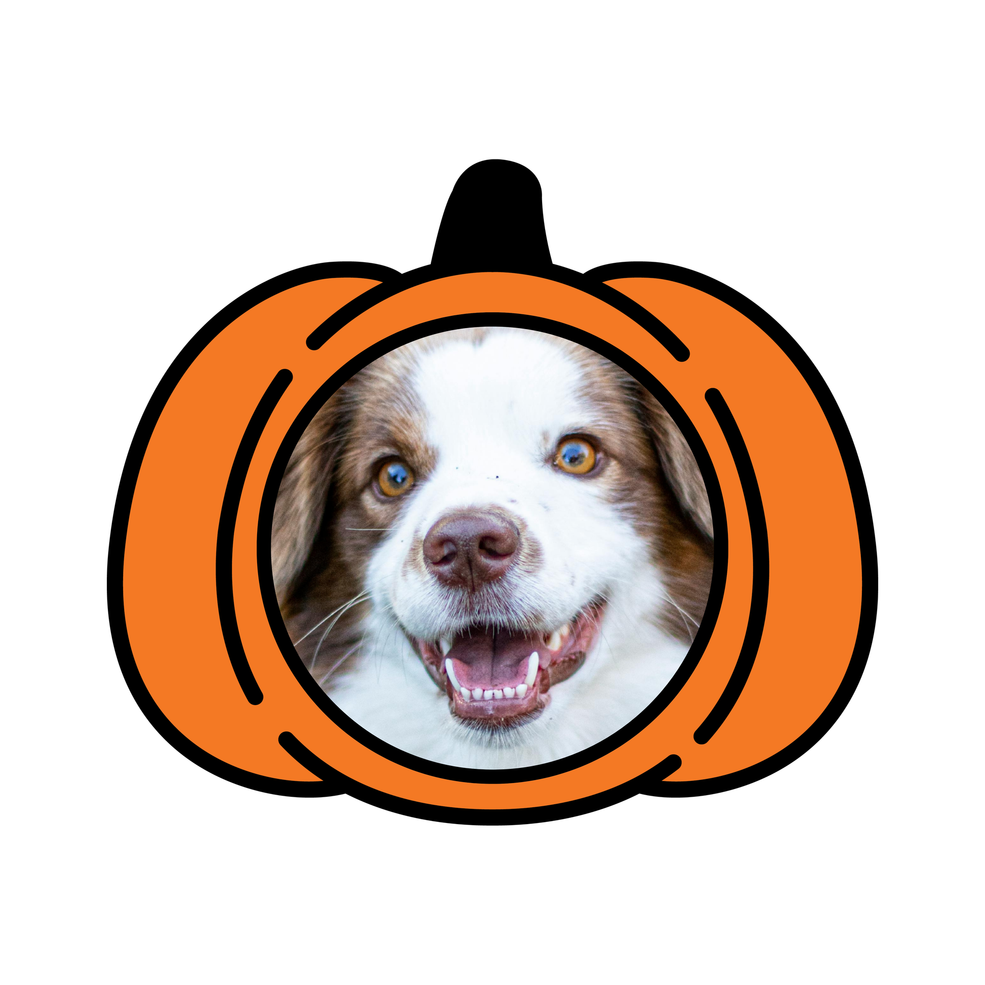 custom pet rug halloween pumpkin 