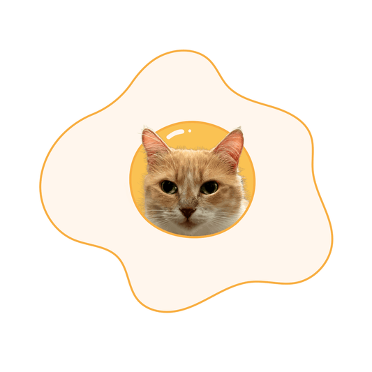 custom pet rug fried egg